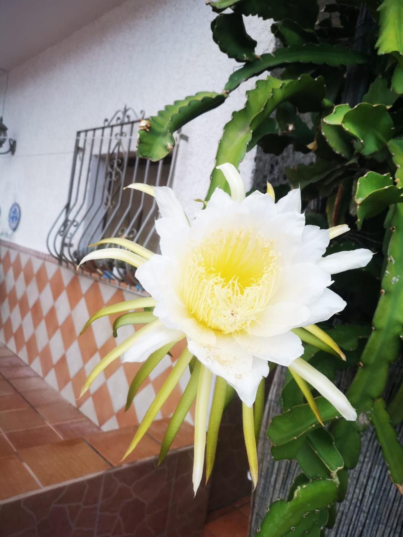 Vivienda Rural En Cabo De Gata Apartment Ел Посо де лос Фрайлес Екстериор снимка